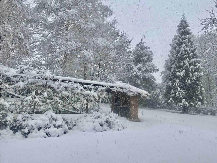 Villa Giulia - Argentera Peveragno Bagian luar foto
